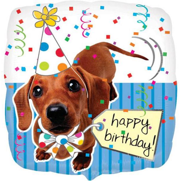 anagram-puppy-happy-birthday-square-foil-balloon-18in-45cm- (1)