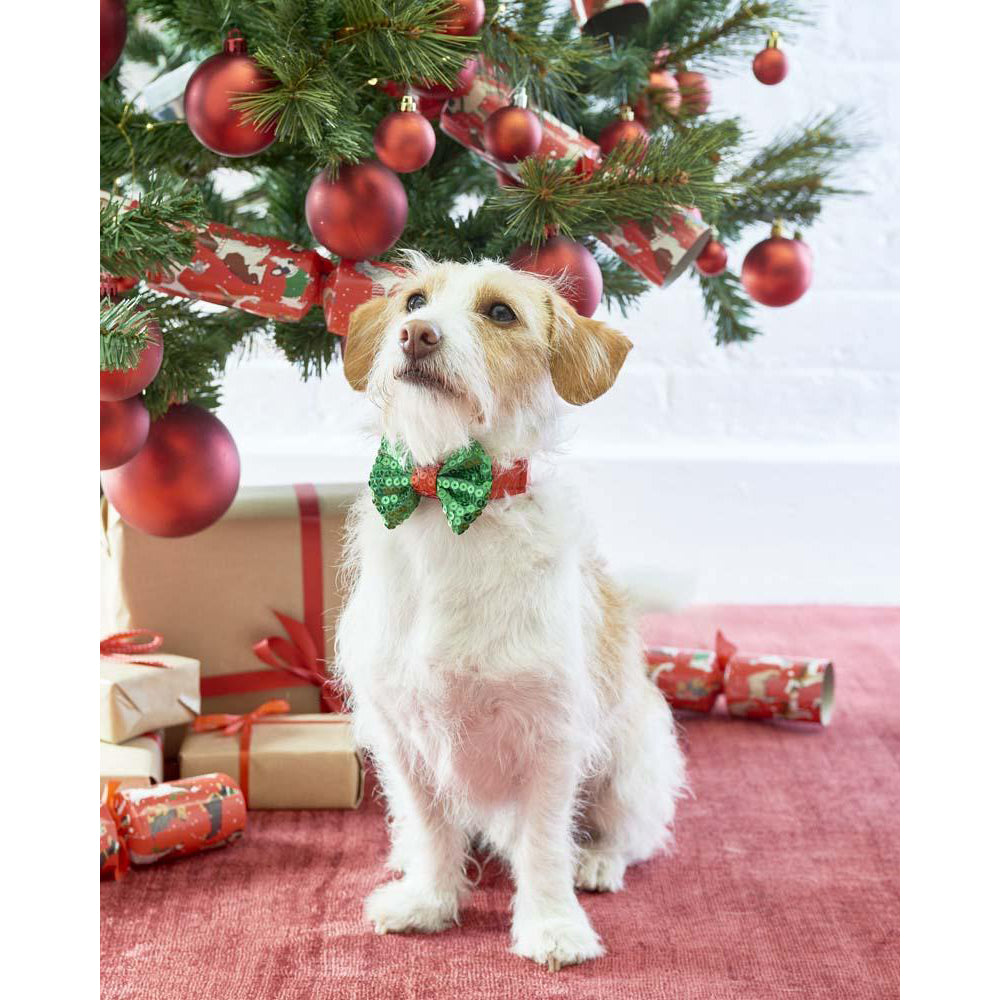 talking-tables-sequinned-christmas-dog-bow-tie-talk-5106794